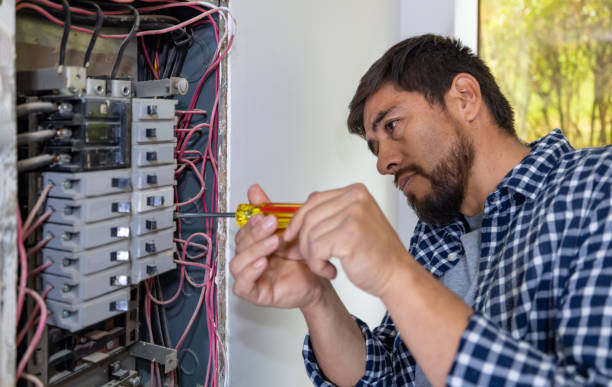 Best Electric Panel Repair  in Kings Park West, VA